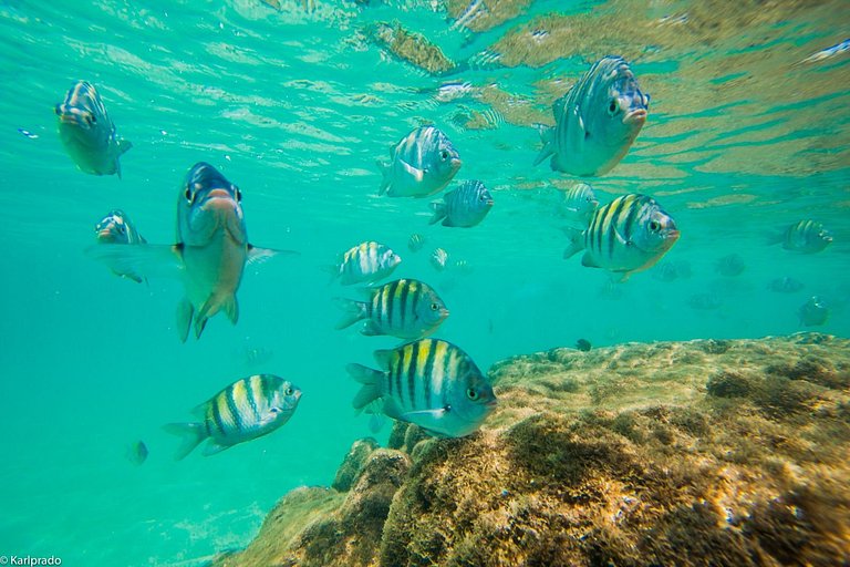 Cond. Makia Beach, Próx. Mar, Porto de Galinhas